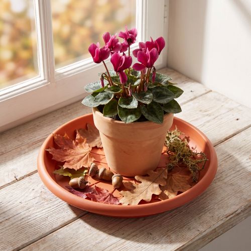 "Linda" saucer Ø20cm terracotta | Floristik24.ie
