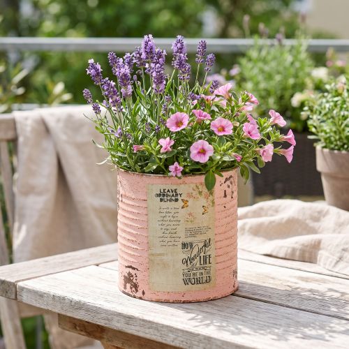 Flower pot decorative can salmon metal summer decoration Ø11cm H10.5cm | Floristik24.ie