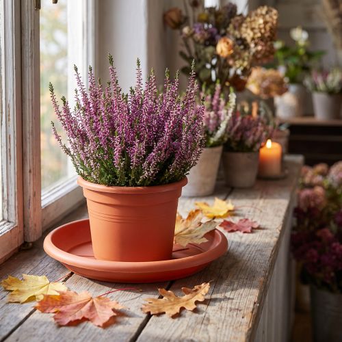 Coaster "Linda" Ø24cm terracotta | Floristik24.ie