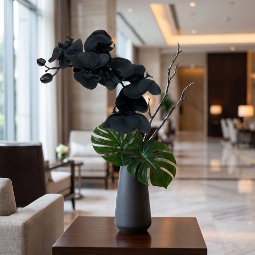 Orchid to decorate Black 54cm | Floristik24.ie