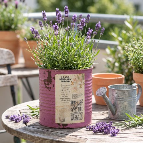 Vintage planter decorative box purple metal summer decoration Ø11cm H10.5cm | Floristik24.ie