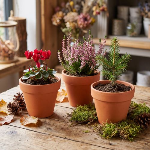 Clay flowerpot Ø9cm high 8cm 10pcs | Floristik24.ie
