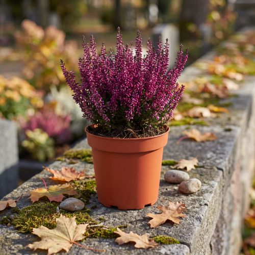 Plant Pot Plastic Ø19cm 10pcs | Floristik24.ie