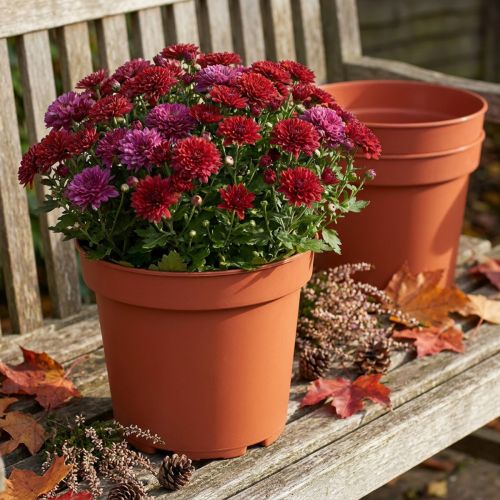 Plant Pot Plastic Ø23cm 10pcs | Floristik24.ie