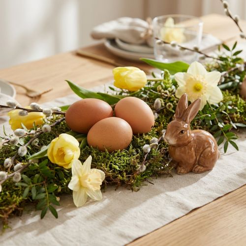 Chicken Eggs Brown 10 pcs | Floristik24.ie