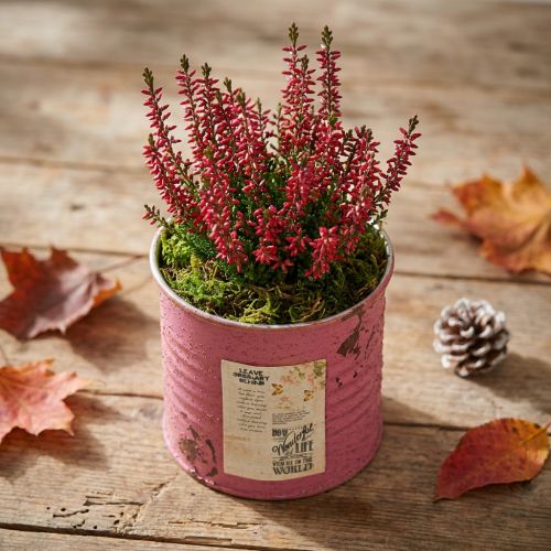 Plant pot, decorative pot, round, purple, metal, vintage decoration, Ø8cm, H7.5cm | Floristik24.ie