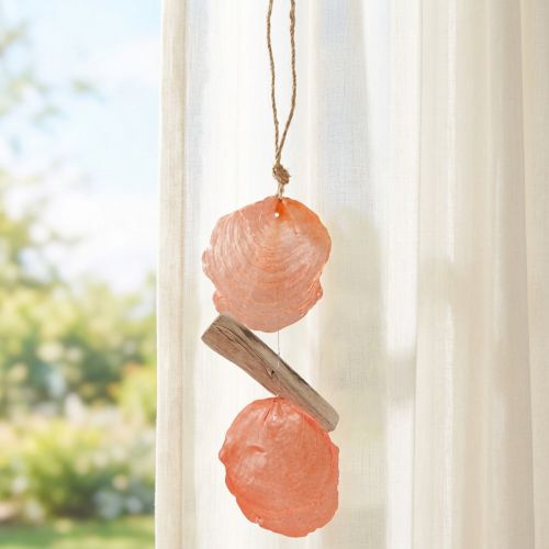 Maritime decoration hanger Capiz shells driftwood orange natural 35cm | Floristik24.ie