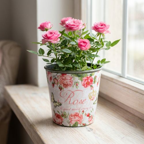 Planter, bucket for planting, planter with rose H13cm Ø13.5cm | Floristik24.ie