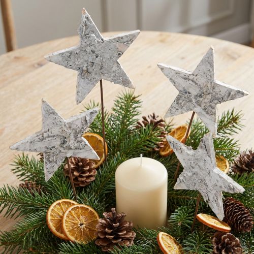 Birch stars on wire stars birch bark white 6cm 24 pcs | Floristik24.ie