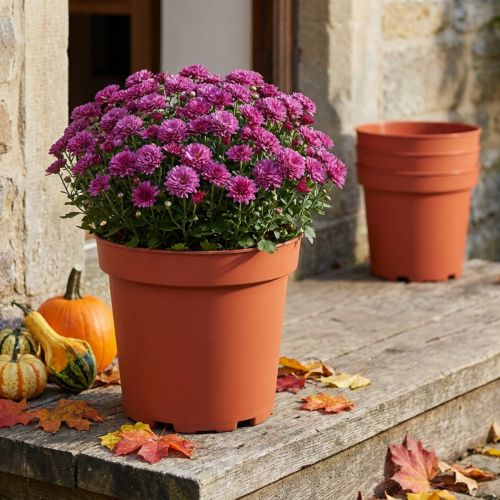 Plant Pot Plastic Ø26cm 10pcs | Floristik24.ie