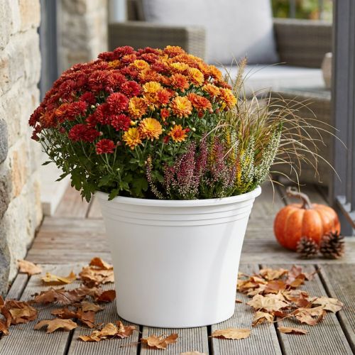 Plastic pot “Irys” white Ø29cm H24cm 1 pc | Floristik24.ie
