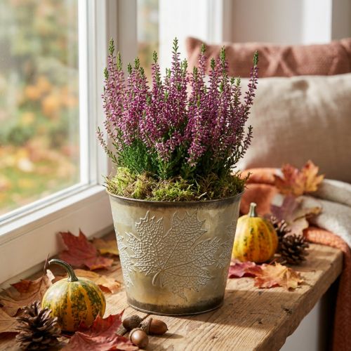 Planter for autumn, metal bucket with leaf decoration, golden metal vessel Ø14cm H12.5cm | Floristik24.ie