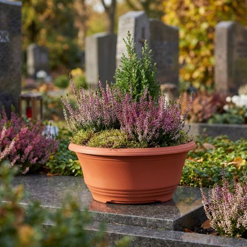 Plastic plant bowl Ø20cm flower bowl terracotta 5pcs | Floristik24.ie
