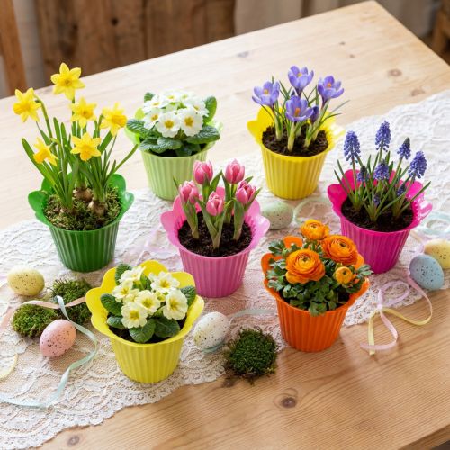Plastic Pot Flower Ø12cm 25 pcs | Floristik24.ie