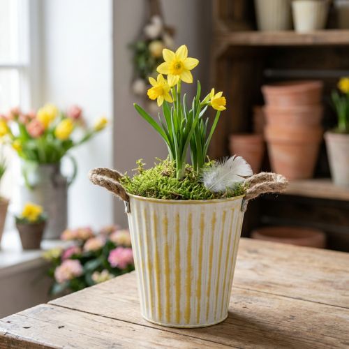 Metal pot, spring decoration, planter with handles, yellow, shabby chic, Ø18cm, H17.5cm | Floristik24.ie