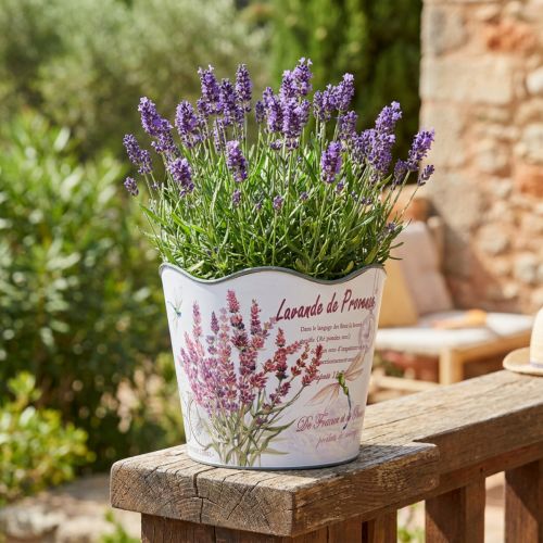 Planter plastic flower pot summer lavender Ø16.5cm H13.5cm | Floristik24.ie