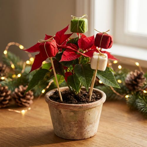 Flower plugs Christmas Christmas packages 2.5cm 15 pcs | Floristik24.ie
