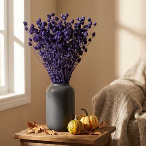 Strawberry Thistle Dried Thistle Decoration Violet 44-58cm 100g | Floristik24.ie