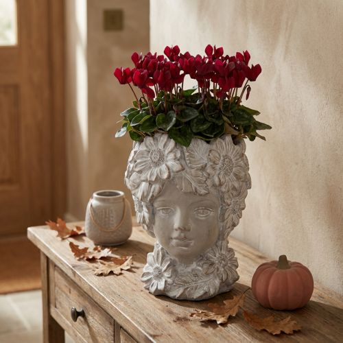 Bust made of cast stone