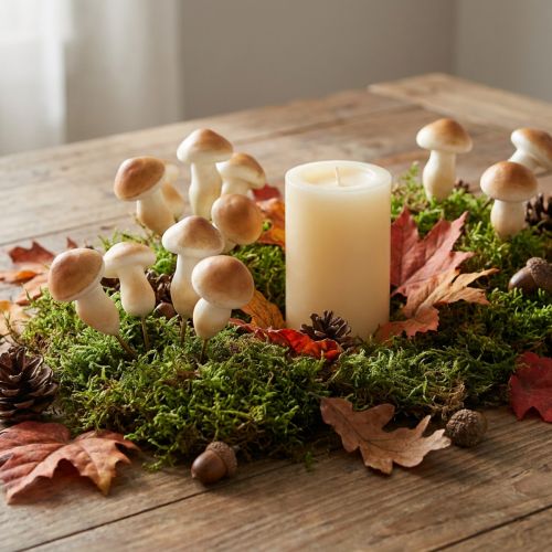 Decorative mushroom on wire 3cm - 5cm 24 pcs | Floristik24.ie