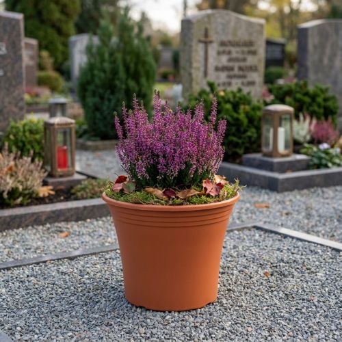 Pot “Irys” plastic terracotta Ø15cm H13cm 1 pc | Floristik24.ie