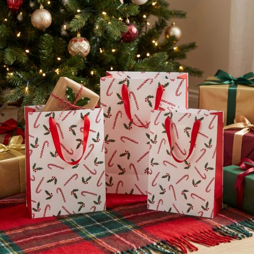Gift Bag Christmas with Handles Red White 24×18×8cm 4pcs | Floristik24.ie