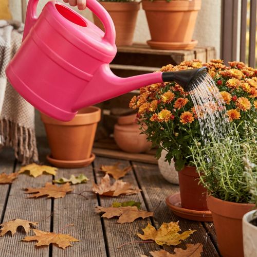 Pink watering can, 5l