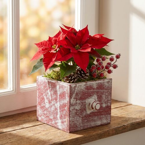 Plant box wooden decorative drawer shabby chic red white 12cm | Floristik24.ie