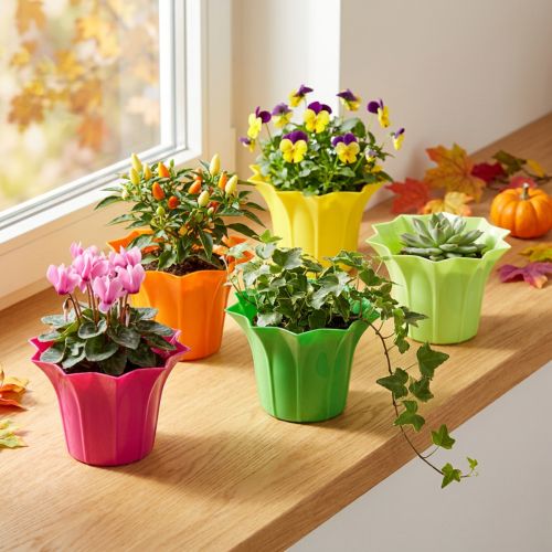 Planter plastic colorful assorted Ø9cm 10 pcs | Floristik24.ie