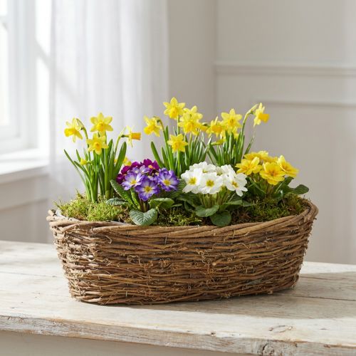 Natural Vine Planting Pot, Oval Flower Pot, 40x19x11.5cm | Floristik24.ie