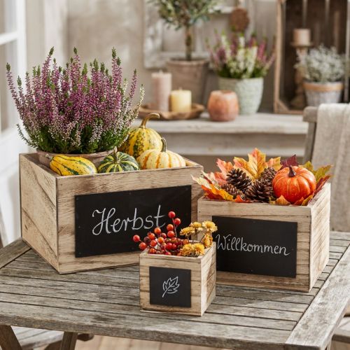 Rustic wooden boxes with chalkboard surfaces – natural & black, various sizes – versatile organizational solution – set of 3 | Floristik24.ie