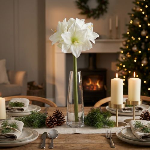 Product Artificial Amaryllis flower, white, with stem, Advent and Christmas, 50cm