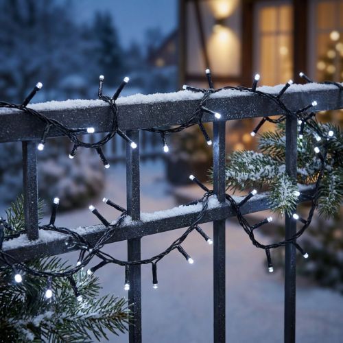 LED rice light chain 40s 3m for outside cold white | Floristik24.ie