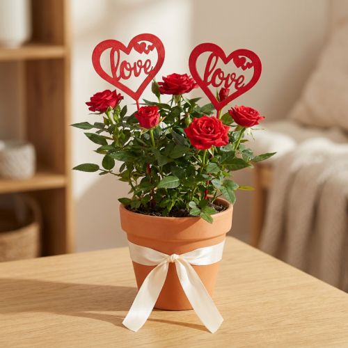 Flower plug heart red wooden decorative plug Love 7cm 12pcs | Floristik24.ie