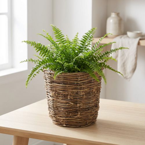Plant basket with vine-like design, decorative for flower pots and table decorations | Floristik24.ie