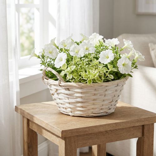 Basket with handles, chipwood basket, plant basket, white, vintage, decorative, Ø35cm | Floristik24.ie