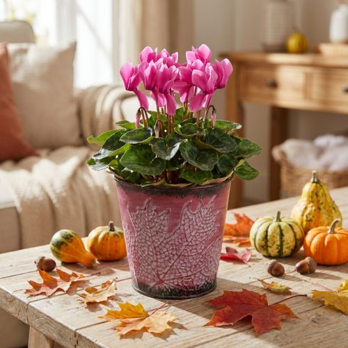 Planter with leaf decoration, metal vessel, autumn, plant pot wine red Ø10cm H10cm | Floristik24.ie