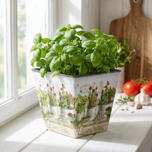 Herb pot, planter with motif, planter H13cm W13.5cm | Floristik24.ie