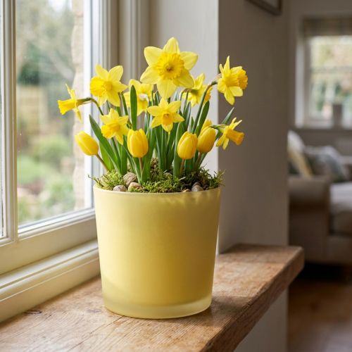 Glass flower pot yellow decorative glass tub Ø11.5cm H11cm | Floristik24.ie