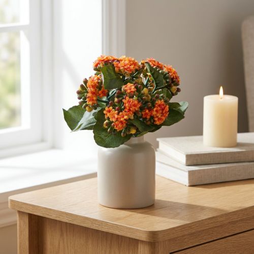 Flaming Käthchen Kalanchoe artificial orange 24cm | Floristik24.ie