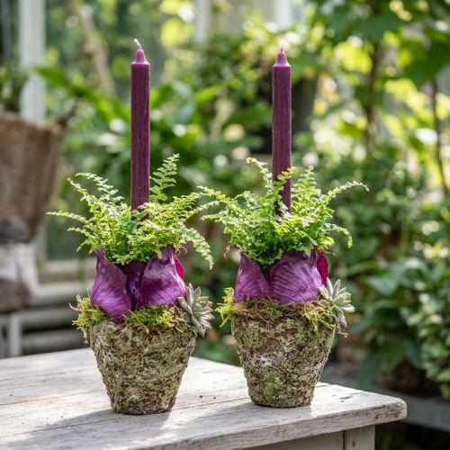 Plant pot rustic forest look planter Ø12.5cm H12cm 2pcs | Floristik24.ie