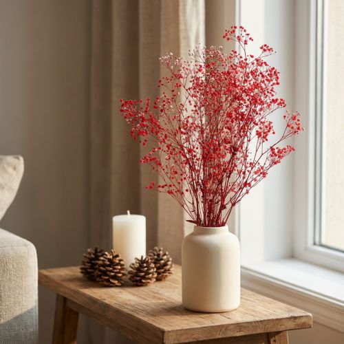 Gypsophila Dried Flowers Red 50cm 55g | Floristik24.ie