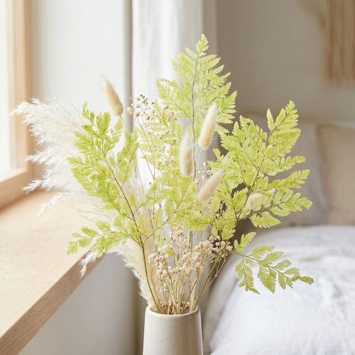 Ferns: Preserved, high-quality natural material for long-lasting decoration projects, 40cm, 10 pieces | Floristik24.ie