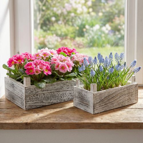 Rectangular wooden plant box whitened 32x17/25x13cm set of 2 | Floristik24.ie