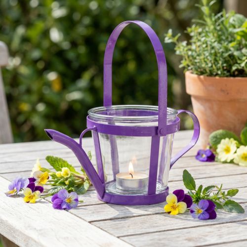 Lantern glass decoration watering can metal purple Ø14cm H13cm | Floristik24.ie