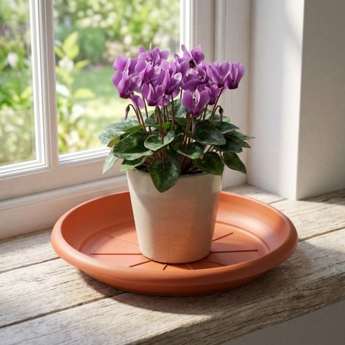 "Linda" saucer Ø18cm terracotta | Floristik24.ie