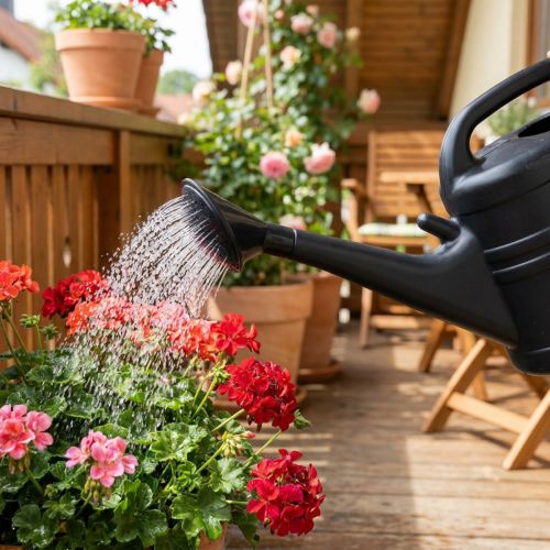 Watering can spray black 10l | Floristik24.ie