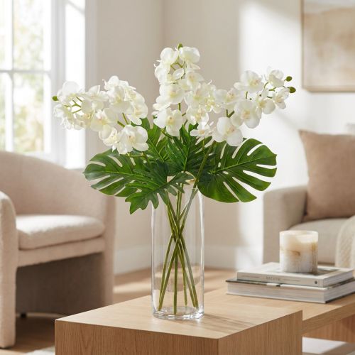 Orchid Cream-White L57cm 6 pcs | Floristik24.ie