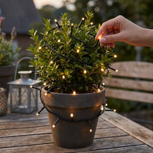 LED string lights, 144 pieces, black, warm white, for outdoor use, 1.2m | Floristik24.ie
