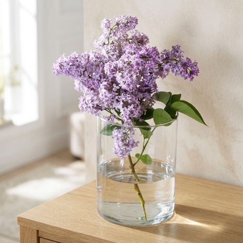 Glass vase clear cylindrical Ø12cm H20cm | Floristik24.ie
